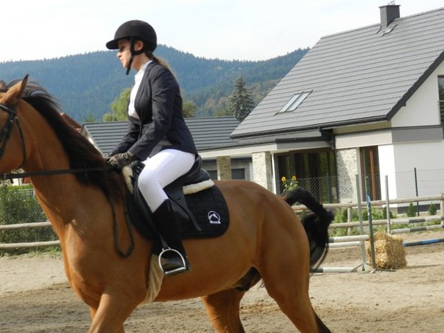 Babie Lato 2016